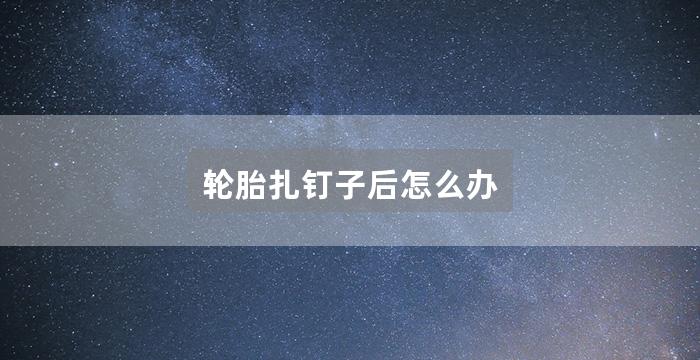 轮胎扎钉子后怎么办