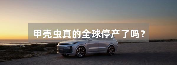甲壳虫真的全球停产了吗？