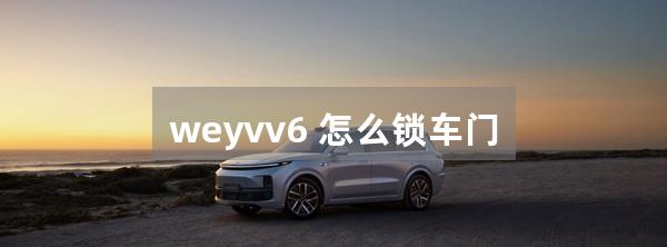 weyvv6 怎么锁车门