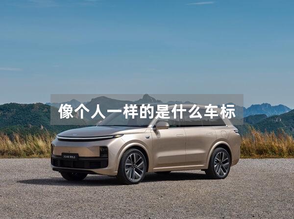 像个人一样的是什么车标