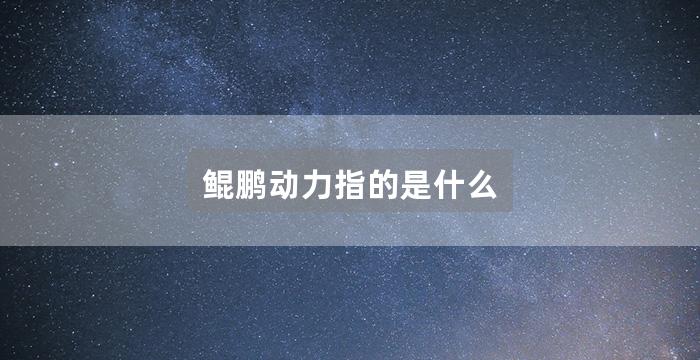 鲲鹏动力指的是什么