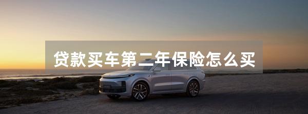 贷款买车第二年保险怎么买