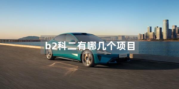 b2科二有哪几个项目
