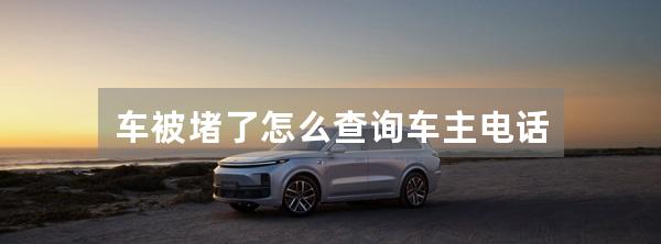 车被堵了怎么查询车主电话
