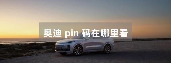 奥迪 pin 码在哪里看