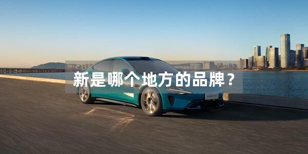 新是哪个地方的品牌？