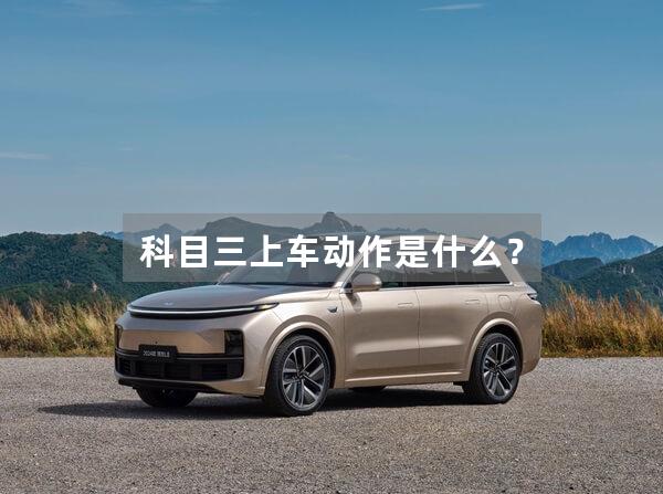 科目三上车动作是什么？