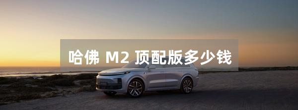 哈佛 M2 顶配版多少钱