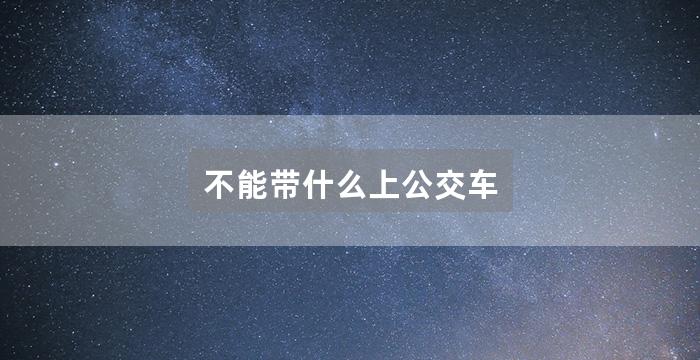 不能带什么上公交车