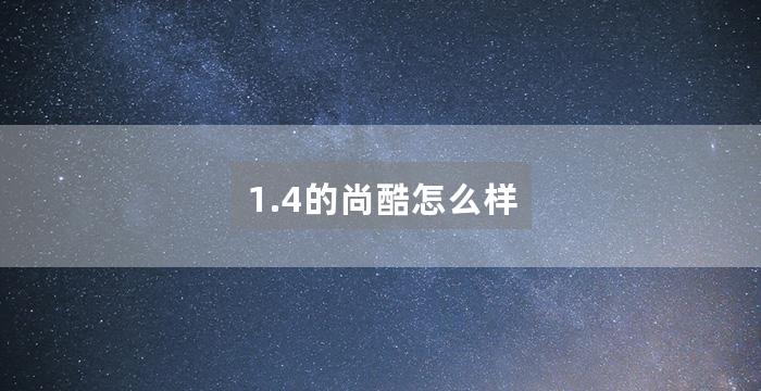 1.4的尚酷怎么样
