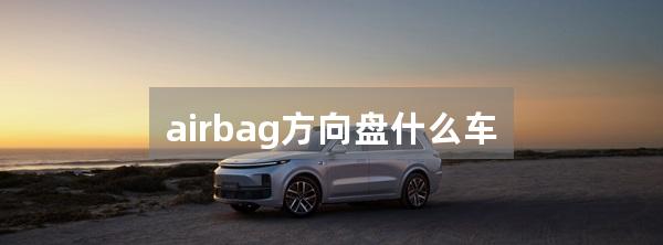 airbag方向盘什么车