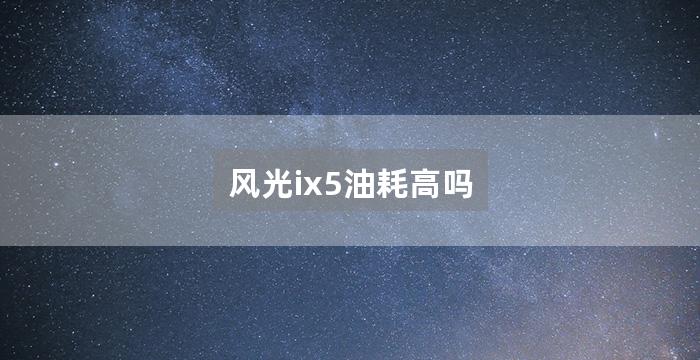 风光ix5油耗高吗