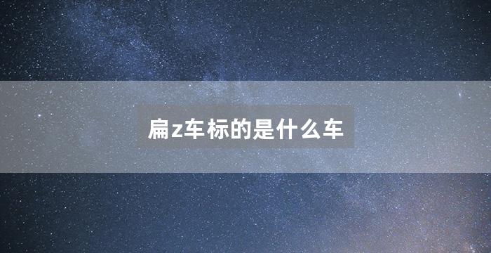 扁z车标的是什么车