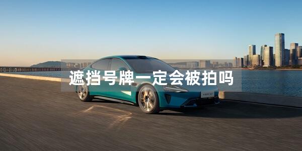 遮挡号牌一定会被拍吗