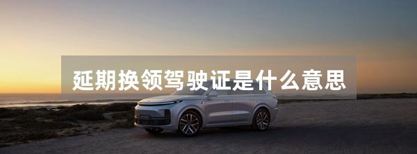 延期换领驾驶证是什么意思