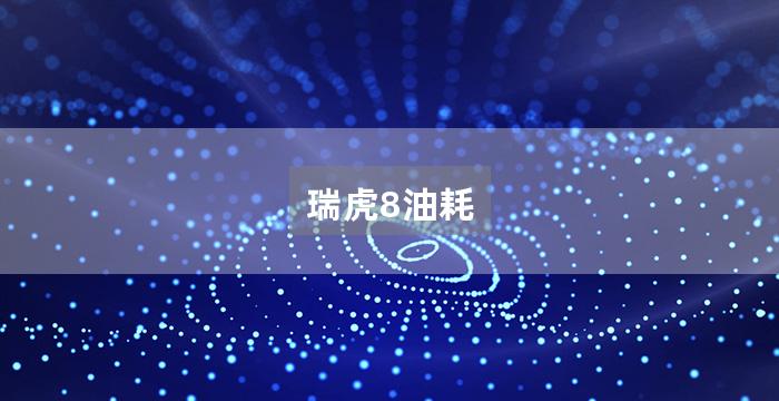 瑞虎8油耗