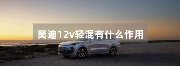 奥迪12v轻混有什么作用