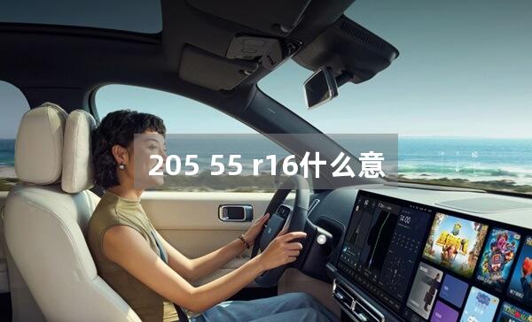 205 55 r16什么意思