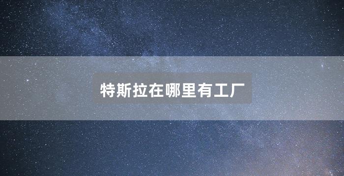 特斯拉在哪里有工厂