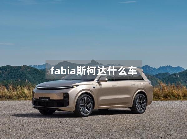 fabia斯柯达什么车