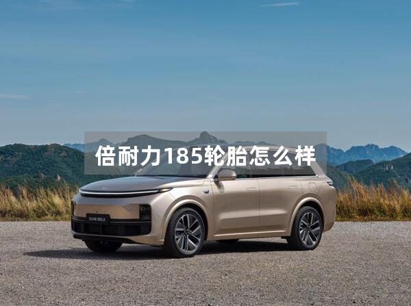 倍耐力185轮胎怎么样