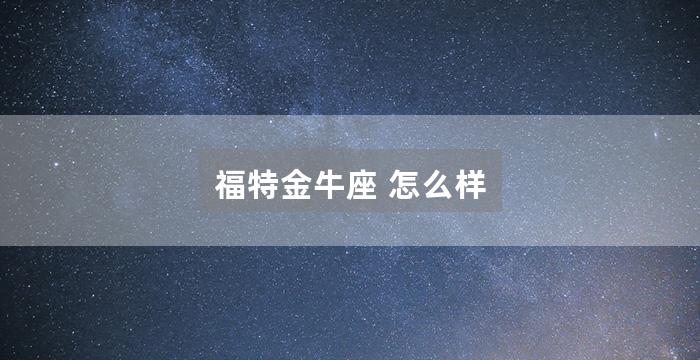 福特金牛座 怎么样