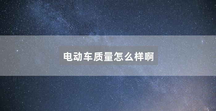电动车质量怎么样啊