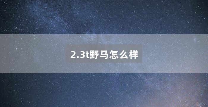 2.3t野马怎么样