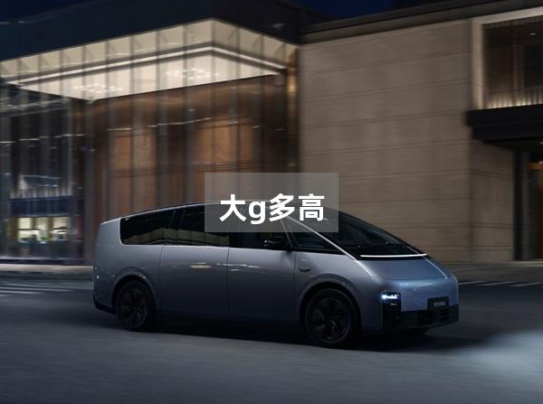 大g多高