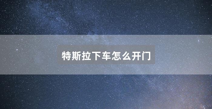特斯拉下车怎么开门