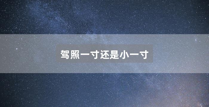 驾照一寸还是小一寸