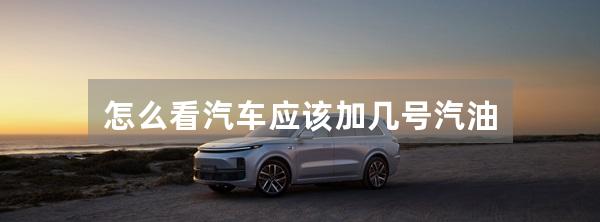 怎么看汽车应该加几号汽油