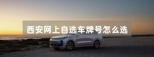 西安网上自选车牌号怎么选