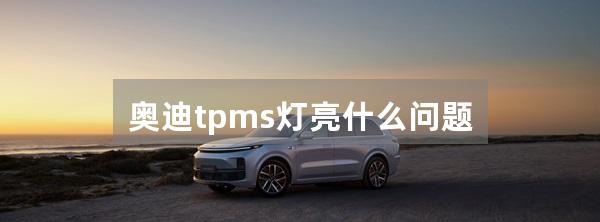 奥迪tpms灯亮什么问题