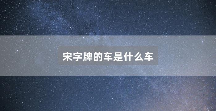 宋字牌的车是什么车