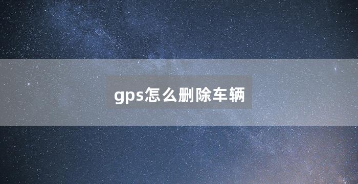 gps怎么删除车辆