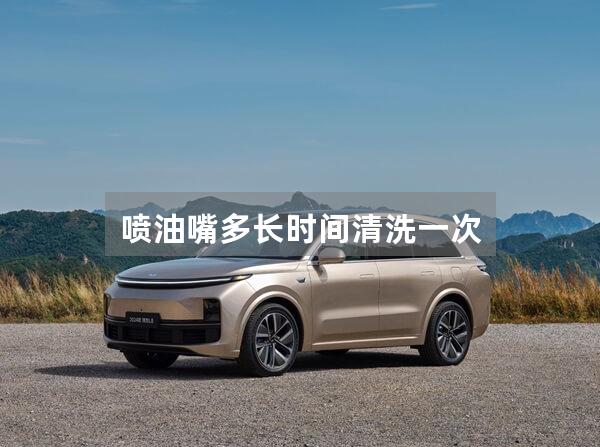 喷油嘴多长时间清洗一次