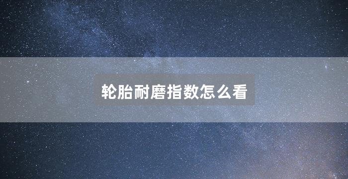 轮胎耐磨指数怎么看